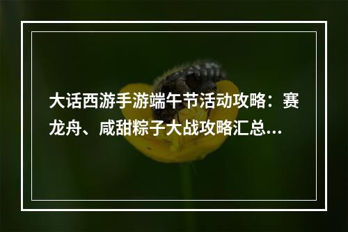 大话西游手游端午节活动攻略：赛龙舟、咸甜粽子大战攻略汇总[视频][多图]