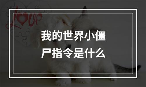 我的世界小僵尸指令是什么