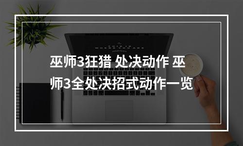 巫师3狂猎 处决动作 巫师3全处决招式动作一览