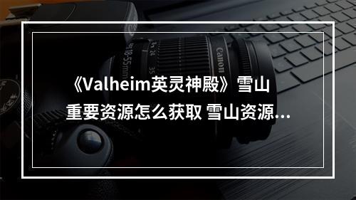 《Valheim英灵神殿》雪山重要资源怎么获取 雪山资源获取技巧