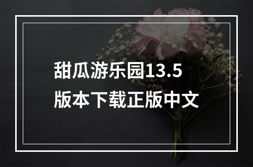 甜瓜游乐园13.5版本下载正版中文