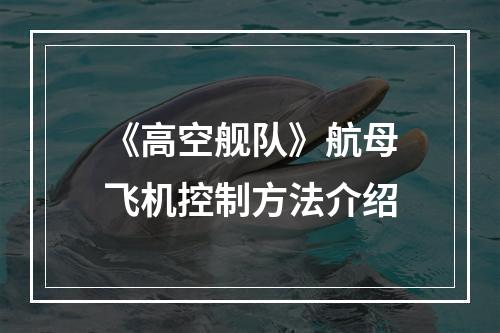 《高空舰队》航母飞机控制方法介绍