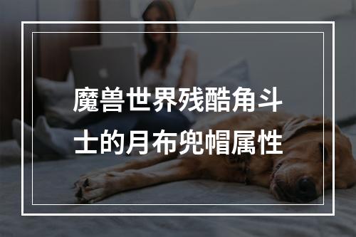 魔兽世界残酷角斗士的月布兜帽属性