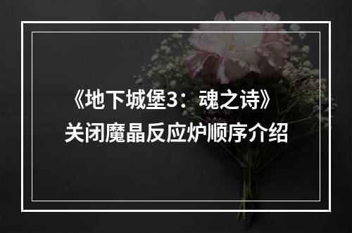 《地下城堡3：魂之诗》关闭魔晶反应炉顺序介绍