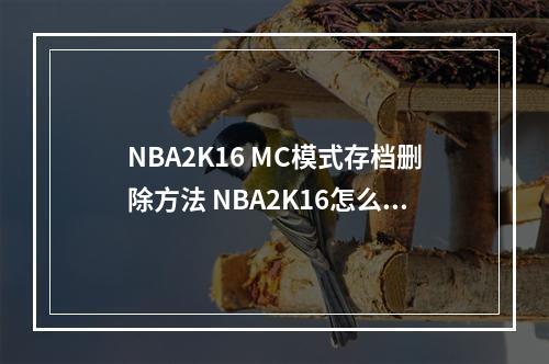 NBA2K16 MC模式存档删除方法 NBA2K16怎么删存档