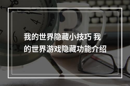 我的世界隐藏小技巧 我的世界游戏隐藏功能介绍