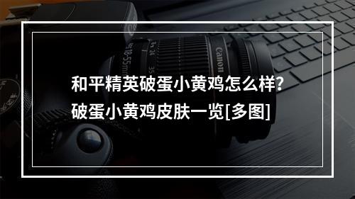 和平精英破蛋小黄鸡怎么样？破蛋小黄鸡皮肤一览[多图]