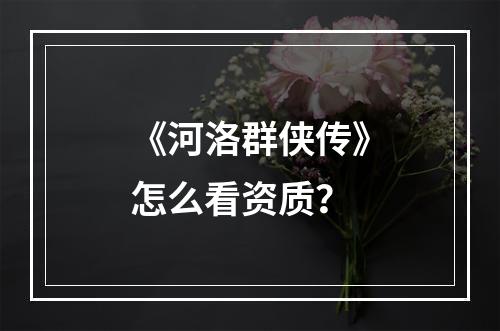 《河洛群侠传》怎么看资质？