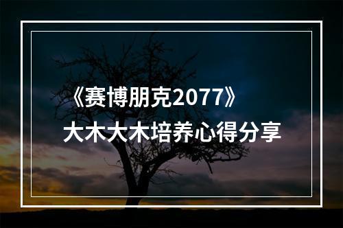 《赛博朋克2077》大木大木培养心得分享