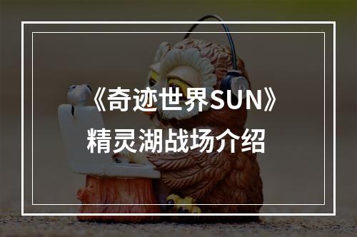 《奇迹世界SUN》 精灵湖战场介绍