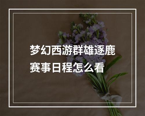 梦幻西游群雄逐鹿赛事日程怎么看