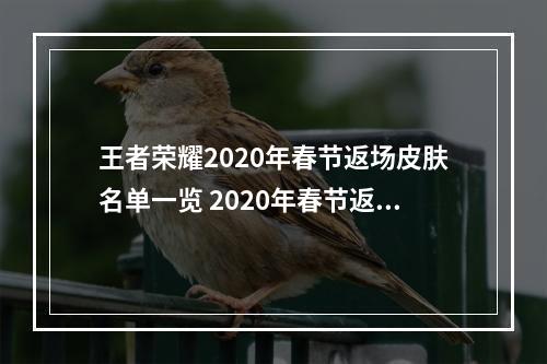 王者荣耀2020年春节返场皮肤名单一览 2020年春节返场皮肤有哪些