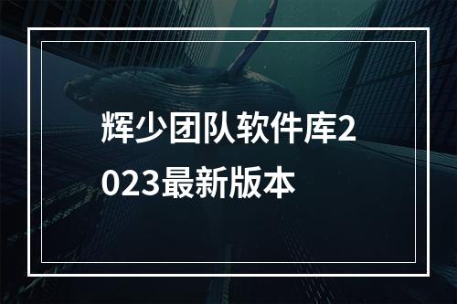 辉少团队软件库2023最新版本