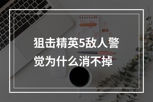 狙击精英5敌人警觉为什么消不掉