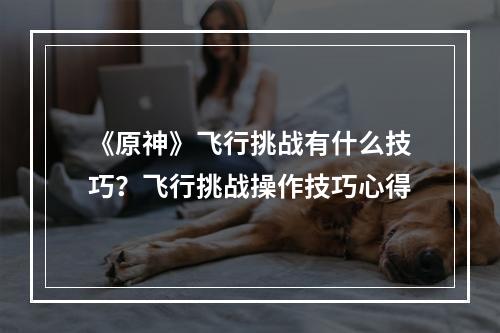 《原神》飞行挑战有什么技巧？飞行挑战操作技巧心得