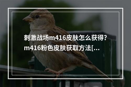 刺激战场m416皮肤怎么获得？m416粉色皮肤获取方法[多图]