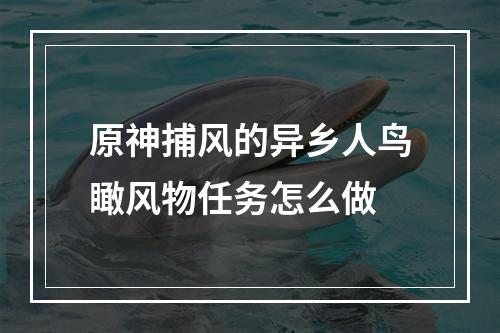 原神捕风的异乡人鸟瞰风物任务怎么做