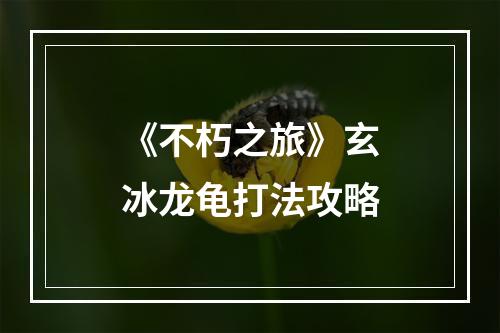 《不朽之旅》玄冰龙龟打法攻略