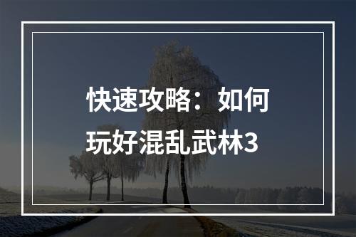 快速攻略：如何玩好混乱武林3