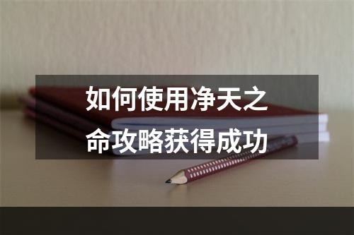 如何使用净天之命攻略获得成功