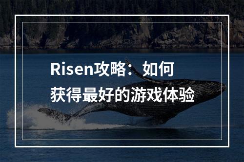 Risen攻略：如何获得最好的游戏体验