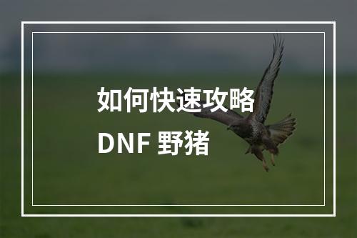 如何快速攻略 DNF 野猪