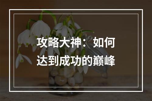 攻略大神：如何达到成功的巅峰