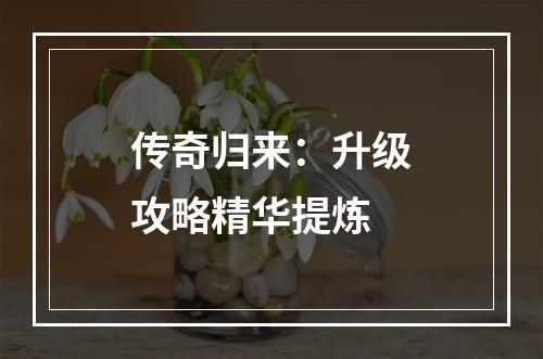 传奇归来：升级攻略精华提炼