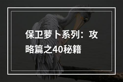 保卫萝卜系列：攻略篇之40秘籍