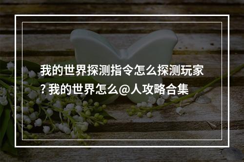 我的世界探测指令怎么探测玩家? 我的世界怎么@人攻略合集