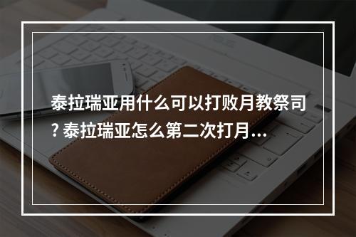 泰拉瑞亚用什么可以打败月教祭司? 泰拉瑞亚怎么第二次打月总攻略集锦