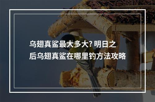 乌翅真鲨最大多大? 明日之后乌翅真鲨在哪里钓方法攻略