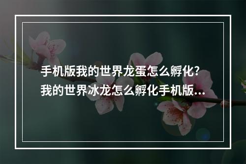 手机版我的世界龙蛋怎么孵化? 我的世界冰龙怎么孵化手机版攻略详情