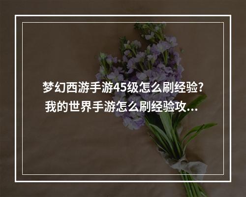 梦幻西游手游45级怎么刷经验? 我的世界手游怎么刷经验攻略一览