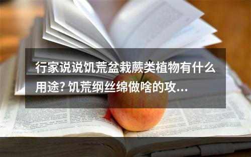 行家说说饥荒盆栽蕨类植物有什么用途? 饥荒纲丝绵做啥的攻略列表