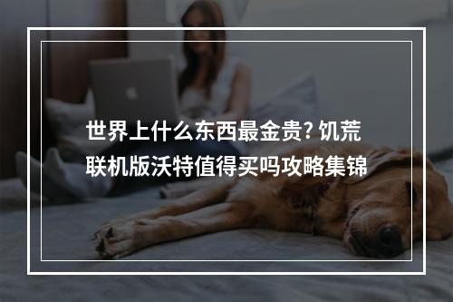 世界上什么东西最金贵? 饥荒联机版沃特值得买吗攻略集锦