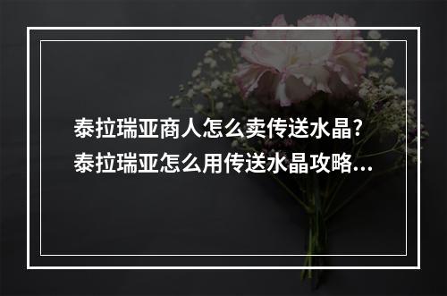 泰拉瑞亚商人怎么卖传送水晶? 泰拉瑞亚怎么用传送水晶攻略合集