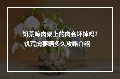 饥荒晾肉架上的肉会坏掉吗? 饥荒肉要晒多久攻略介绍