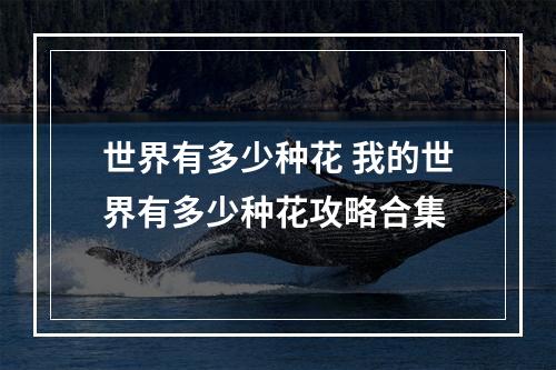 世界有多少种花 我的世界有多少种花攻略合集