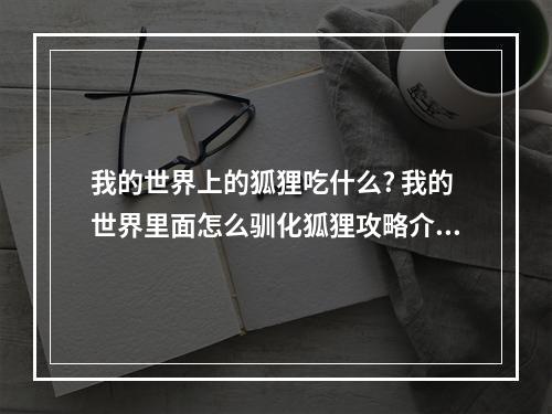 我的世界上的狐狸吃什么? 我的世界里面怎么驯化狐狸攻略介绍