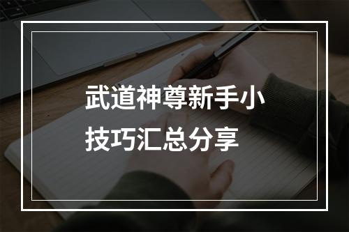 武道神尊新手小技巧汇总分享