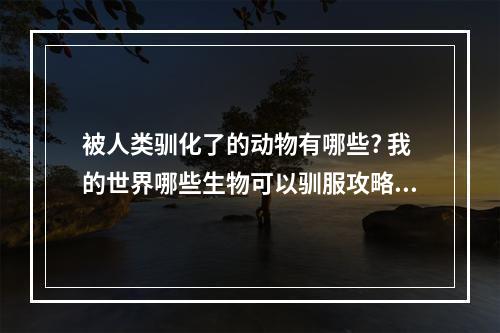 被人类驯化了的动物有哪些? 我的世界哪些生物可以驯服攻略集锦