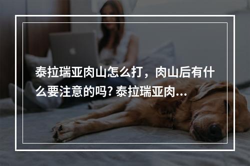 泰拉瑞亚肉山怎么打，肉山后有什么要注意的吗? 泰拉瑞亚肉山后砸几个祭坛比较好攻略详情