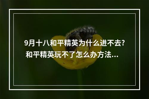 9月十八和平精英为什么进不去? 和平精英玩不了怎么办方法攻略