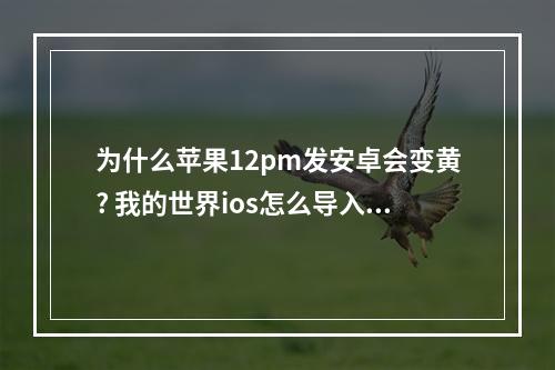 为什么苹果12pm发安卓会变黄? 我的世界ios怎么导入材质包攻略详情