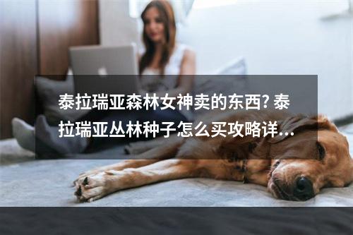 泰拉瑞亚森林女神卖的东西? 泰拉瑞亚丛林种子怎么买攻略详解