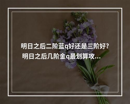 明日之后二阶蓝q好还是三阶好? 明日之后几阶金q最划算攻略详情