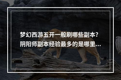 梦幻西游五开一般刷哪些副本? 阴阳师副本经验最多的是哪里攻略介绍