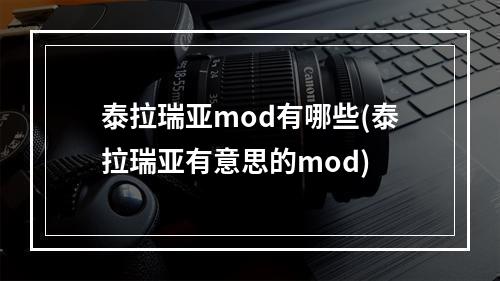 泰拉瑞亚mod有哪些(泰拉瑞亚有意思的mod)