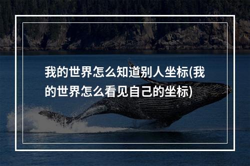 我的世界怎么知道别人坐标(我的世界怎么看见自己的坐标)